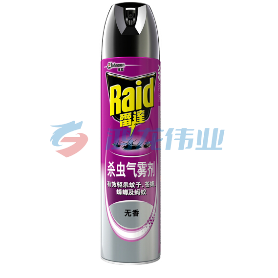 雷达(RAID) 600ml无香喷雾杀虫剂 24瓶/箱.
