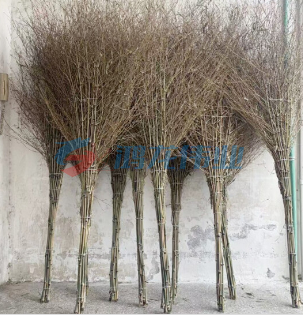 加厚一体式环卫大竹扫把 加厚笤帚