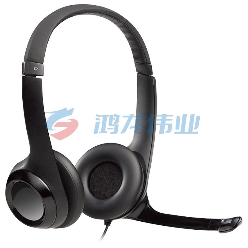 罗技(Logitech) H390头戴式立体声USB耳机带话筒 黑色 (XTGM2023072113184214)