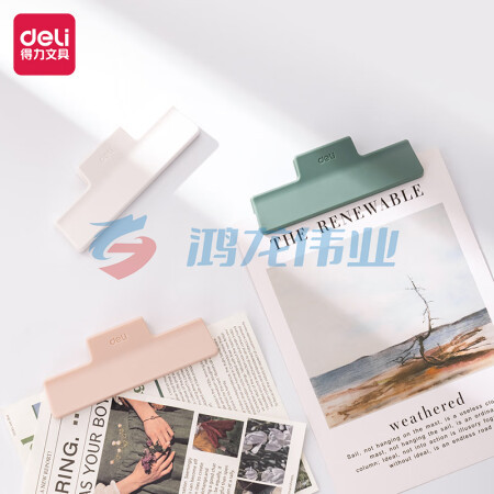 得力(deli)TP541中号手账夹 塑料票夹 试卷夹 混色1只装