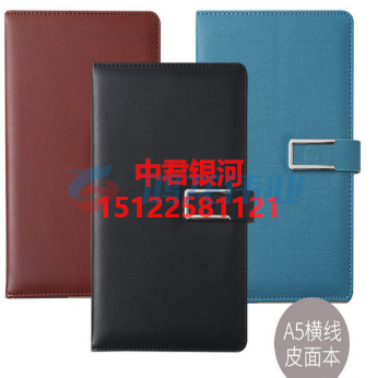 晨光APYG1Y98 带笔夹磁扣插袋皮面112页A5 颜色备注