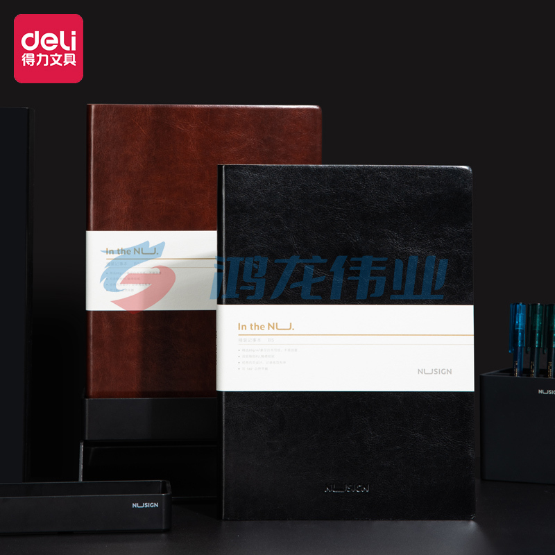 纽赛(NUSIGN)商务皮面笔记本子B5 特厚意大利纸张进口皮料 随机商务色NS256