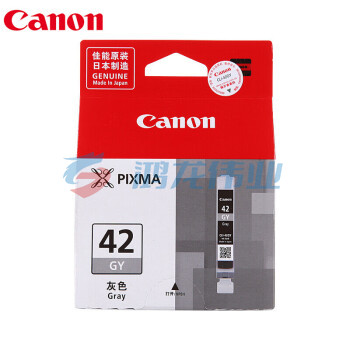 佳能（Canon)原装CLI-42GY灰色墨盒适用PRO-100照片写真打印机墨水