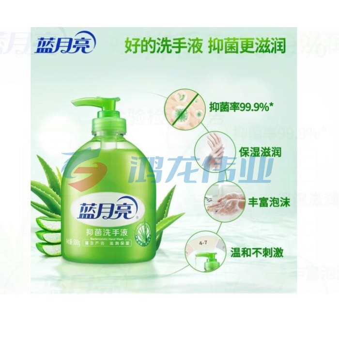 蓝月亮 瓶装芦荟抑菌洗手液 500g bwsj-230208181151